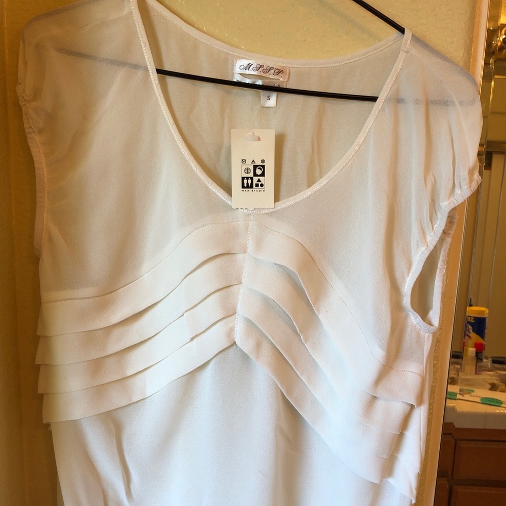 Max studio blouse